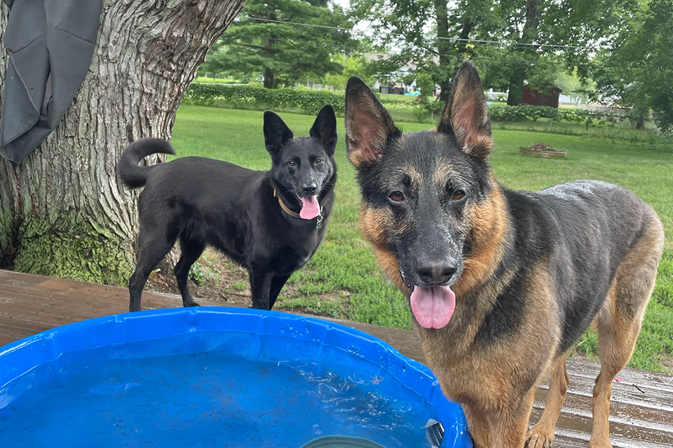 Zack and Nancy