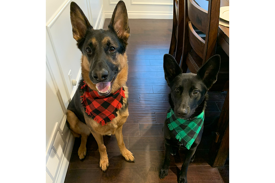 Zack and Nancy