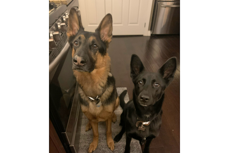 Zack and Nancy