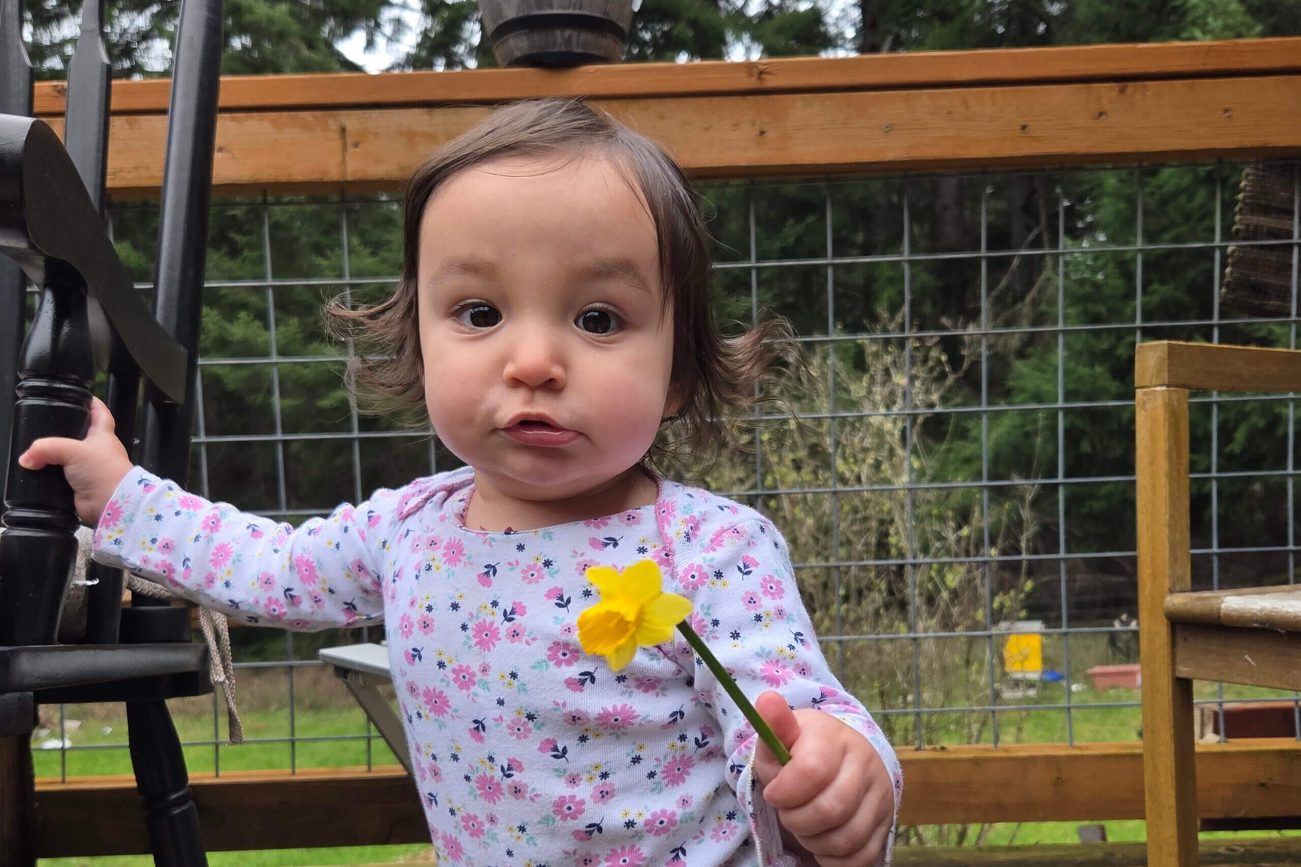 Toddler girl in a floral long-sleeve shirt holding a yellow daffodil outdoors near a wooden fence and playset.