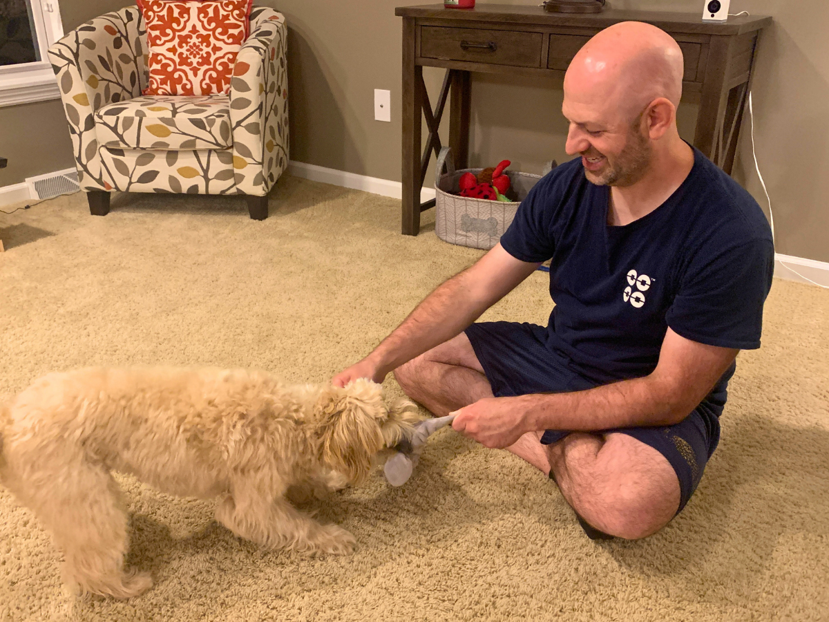 Man kneeling on carpet at home, smiling while playing tug with a fluffy light-colored dog using a small gray toy.