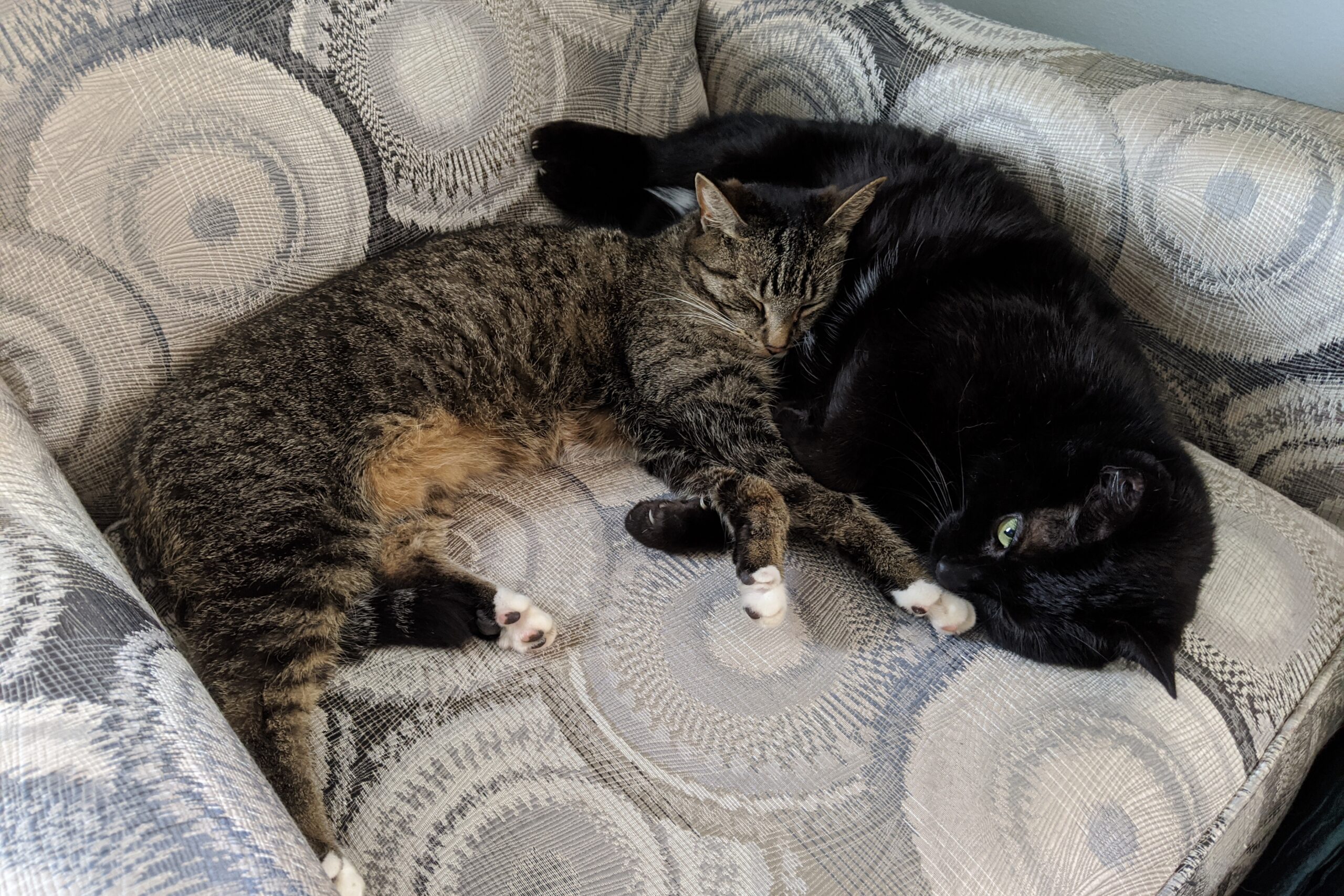 Matt and Agnes