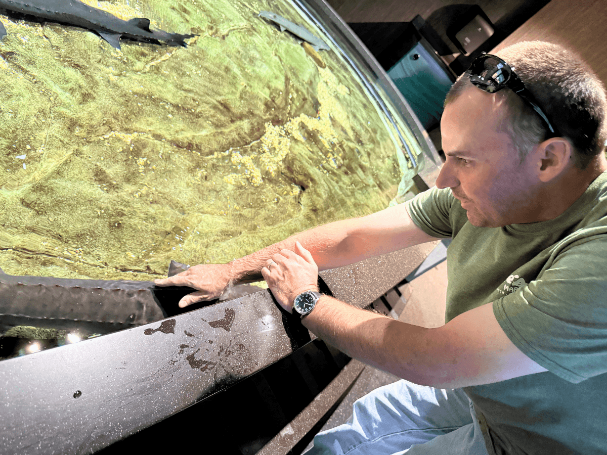 Man detailing a car's windshield, wiping the glass with a cloth while standing beside the vehicle in a showroom.