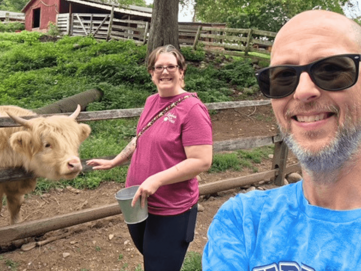 Man in a blue shirt wearing sunglasses takes a selfie with a smiling woman in a pink shirt feeding a light brown cow at a farm fence.