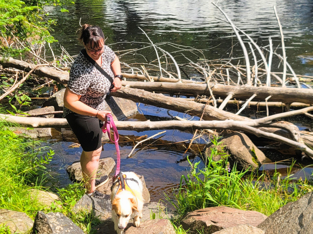 Smiling woman in a leopard print top walks a small dog on a pink leash along a rocky lakeshore with fallen branches nearby.