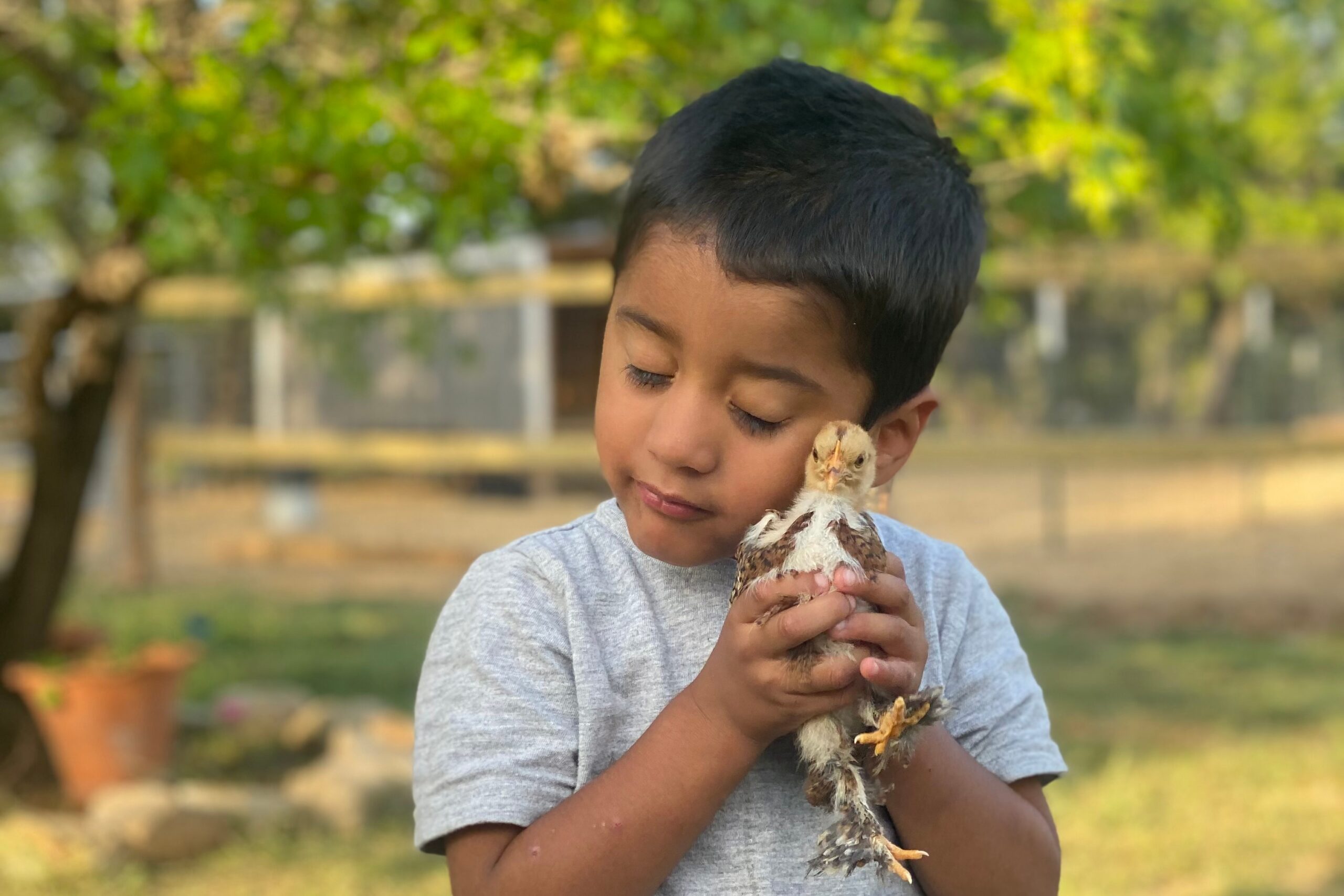 Child holding a duck close to face