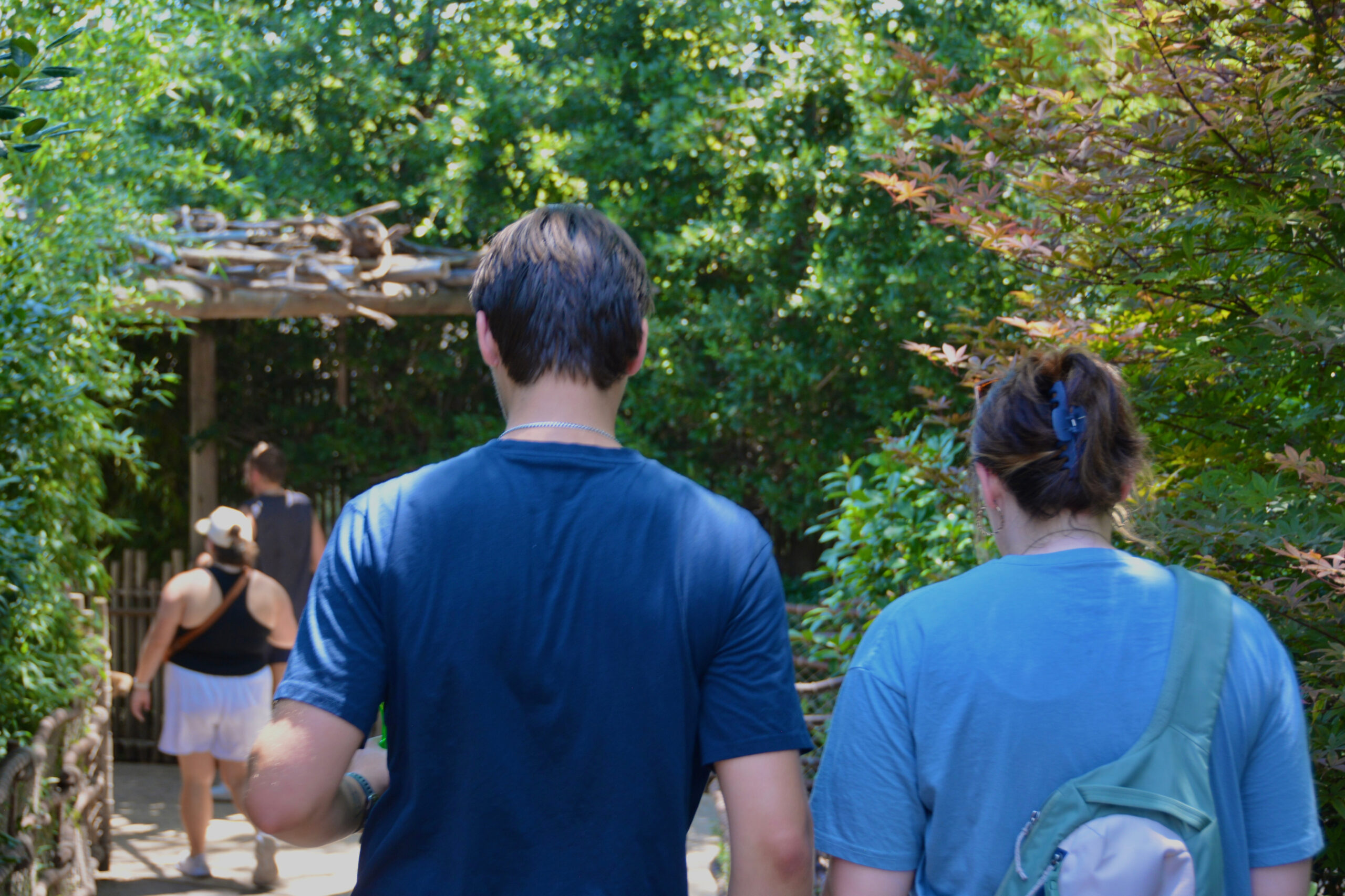 Back view of two people in blue shirts walking down a sunlit garden path with greenery on both sides and a wooden railing left of the path.