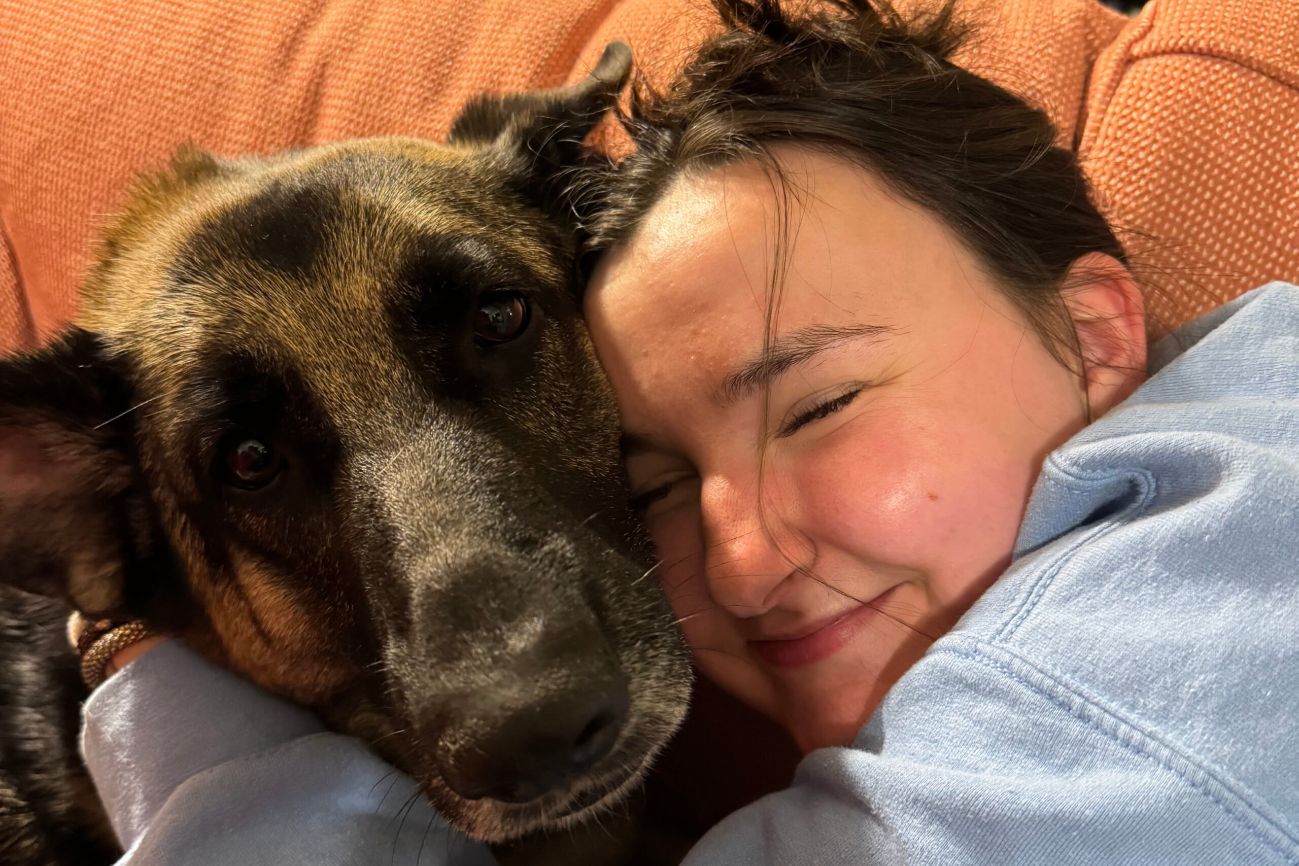 Close-up of a person and a brindle-coated dog cuddling together on a couch with an orange blanket in the background.