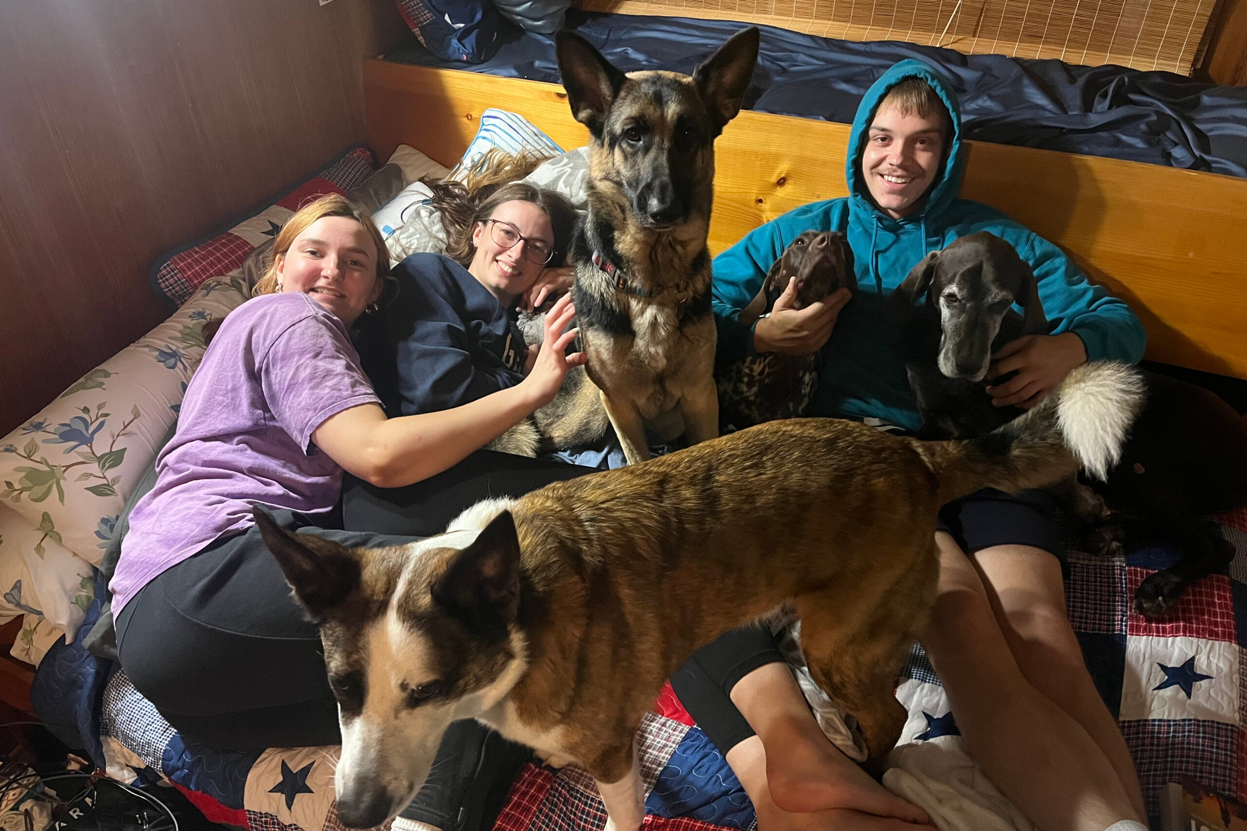 Four friends lounging on a bed with multiple dogs, smiling at the camera in a cozy room bed setup on quilts and pillows.