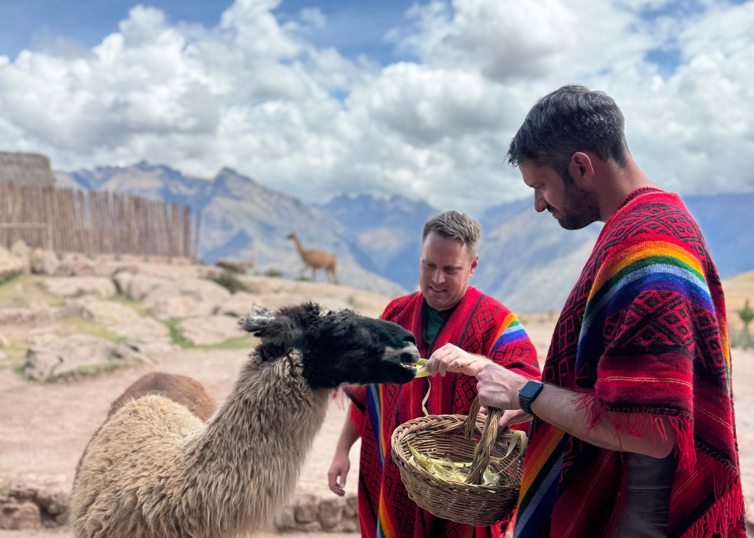 Two men in red patterned ponchos feed an alpaca outdoors in a rocky, mountainous landscape.