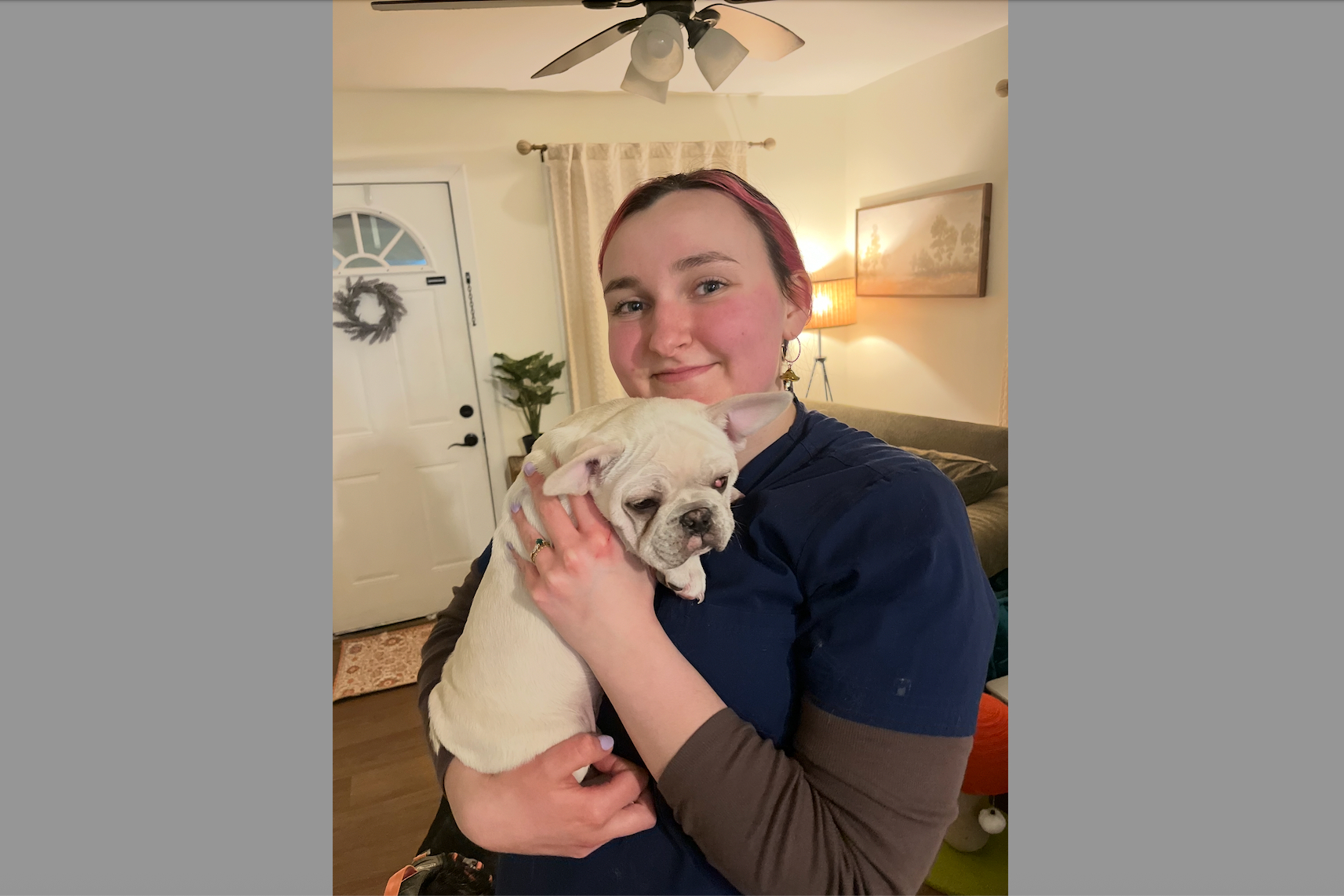 Person wearing blue holds a small white bulldog puppy indoors, smiling at the camera.