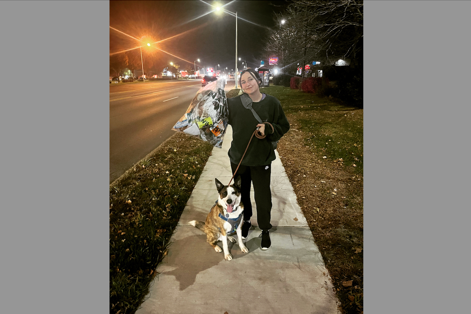 Person in a dark hoodie walking a dog on a lit sidewalk at night, carrying a bag of trash.