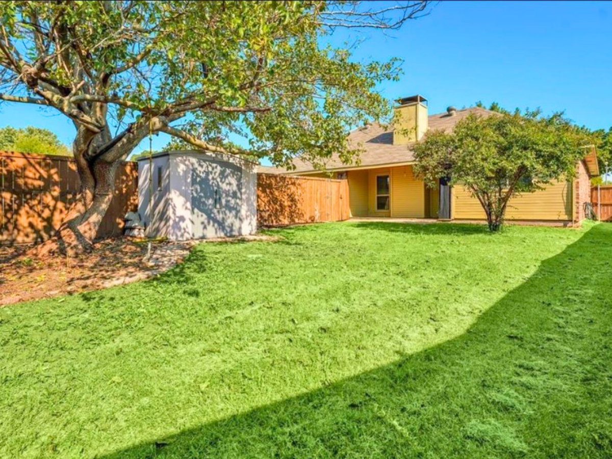 Sunny backyard with green lawn, a large tree, a shed, and a yellow one-story house with a chimney.