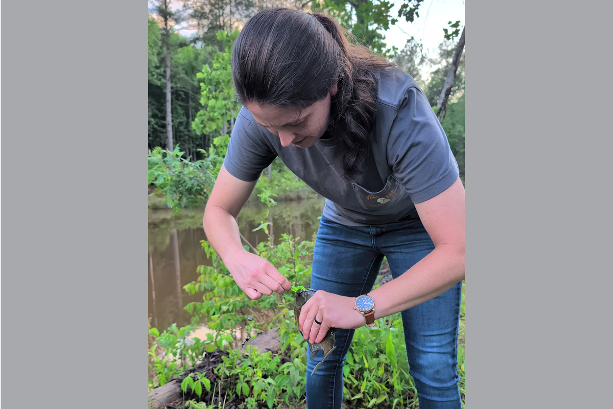 Person crouched by a pond, gently releasing a small frog from their hands in a green, wooded area.