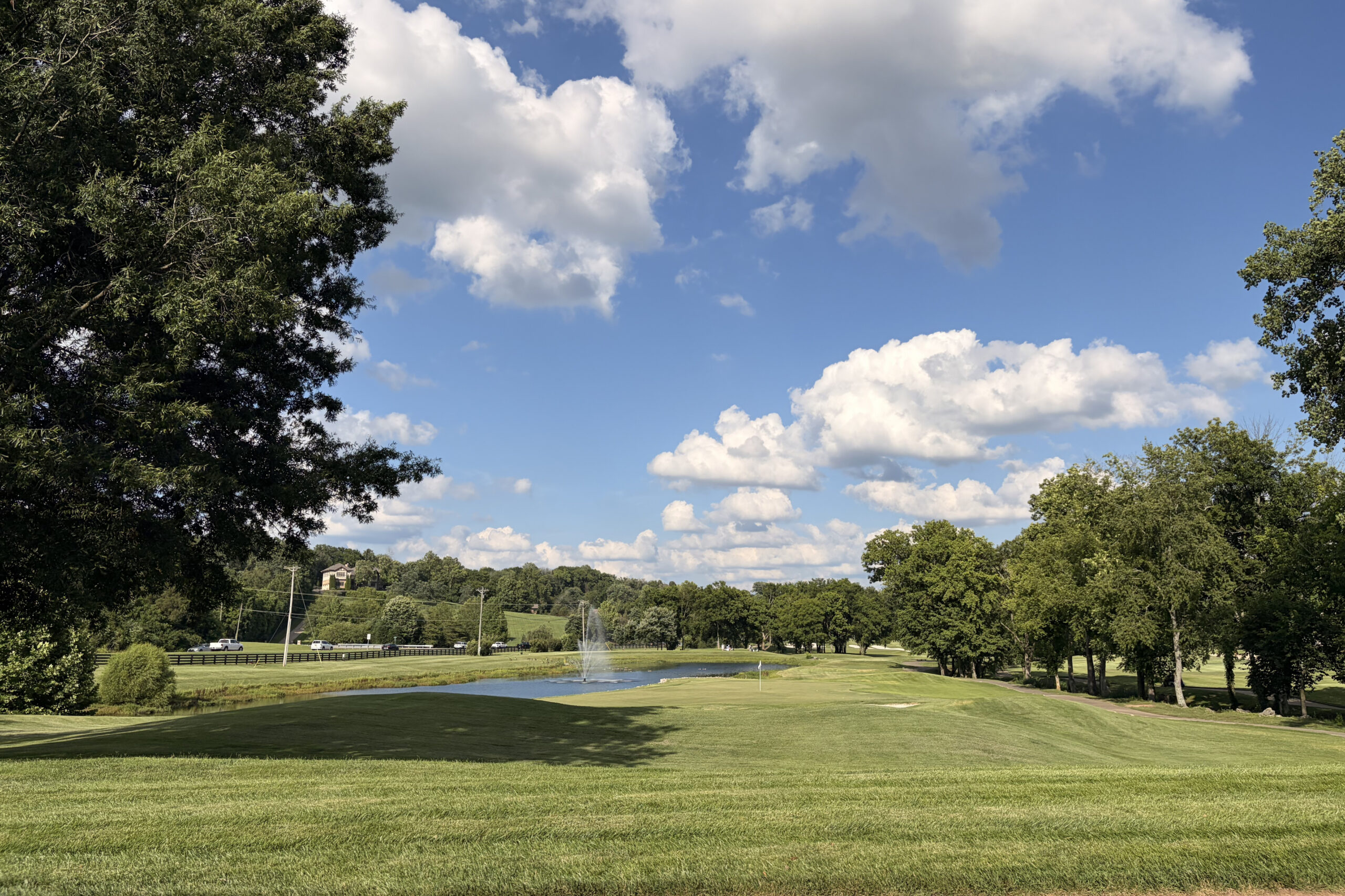Sunny park landscape with green grass, trees on both sides, and a small fountain in a pond under a blue, partly cloudy sky.