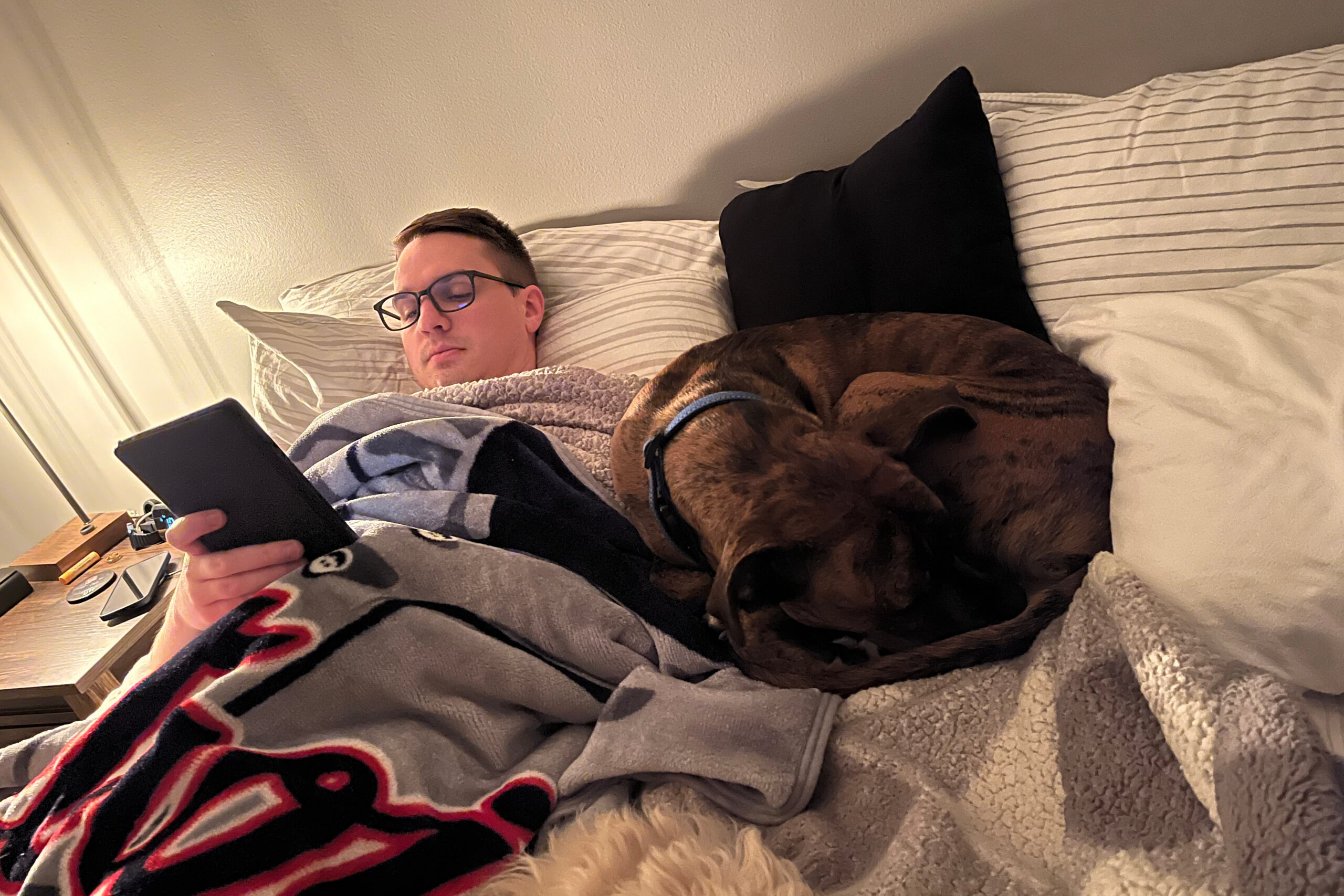 Man with glasses lying in bed and reading a tablet, a brown dog resting beside him under a blanket in a cozy bedroom.