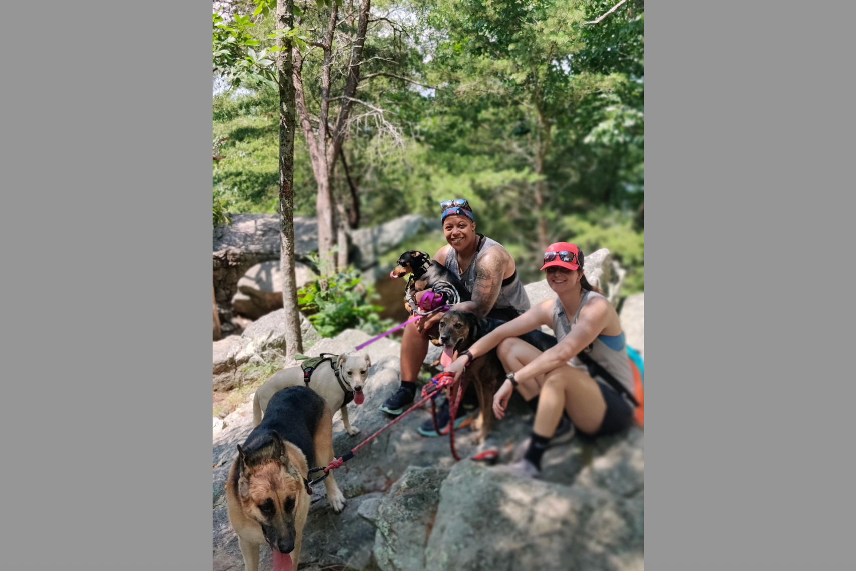 Three people smiling on a rocky trail with several leashed dogs in a forest setting