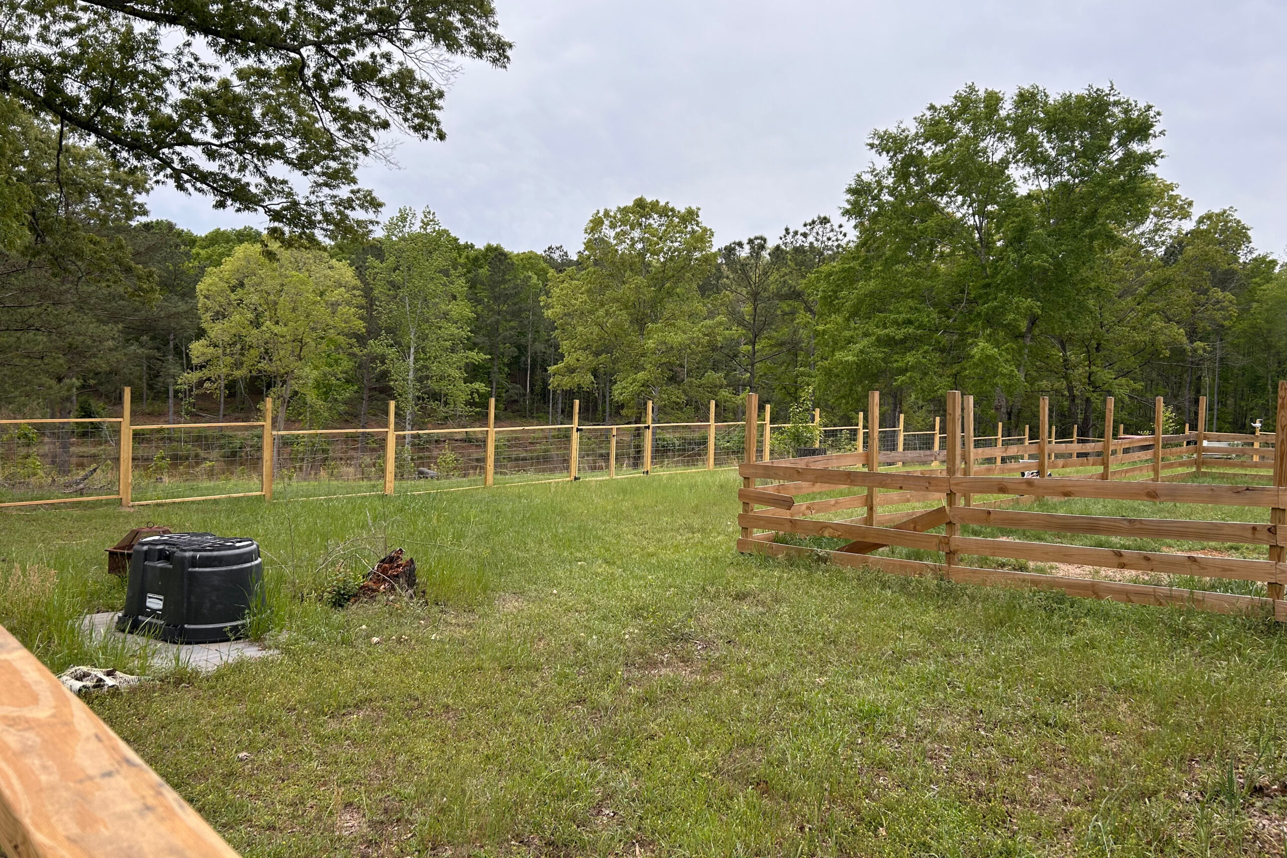 Grassy backyard with wooden post-and-wire fencing and a black compost bin in the foreground; dense trees beyond the fence under a cloudy sky.