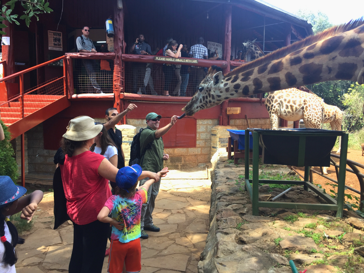 Visitors feed a giraffe at a raised feeding station while others watch from a wooden deck platform.