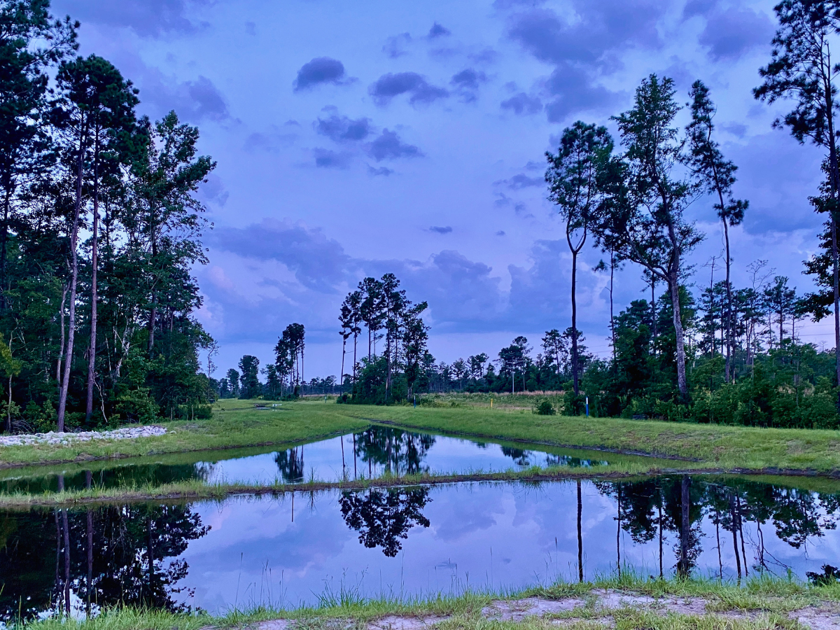 Pond reflecting tall trees and a blue, partly cloudy sky in a grassy wetland area.