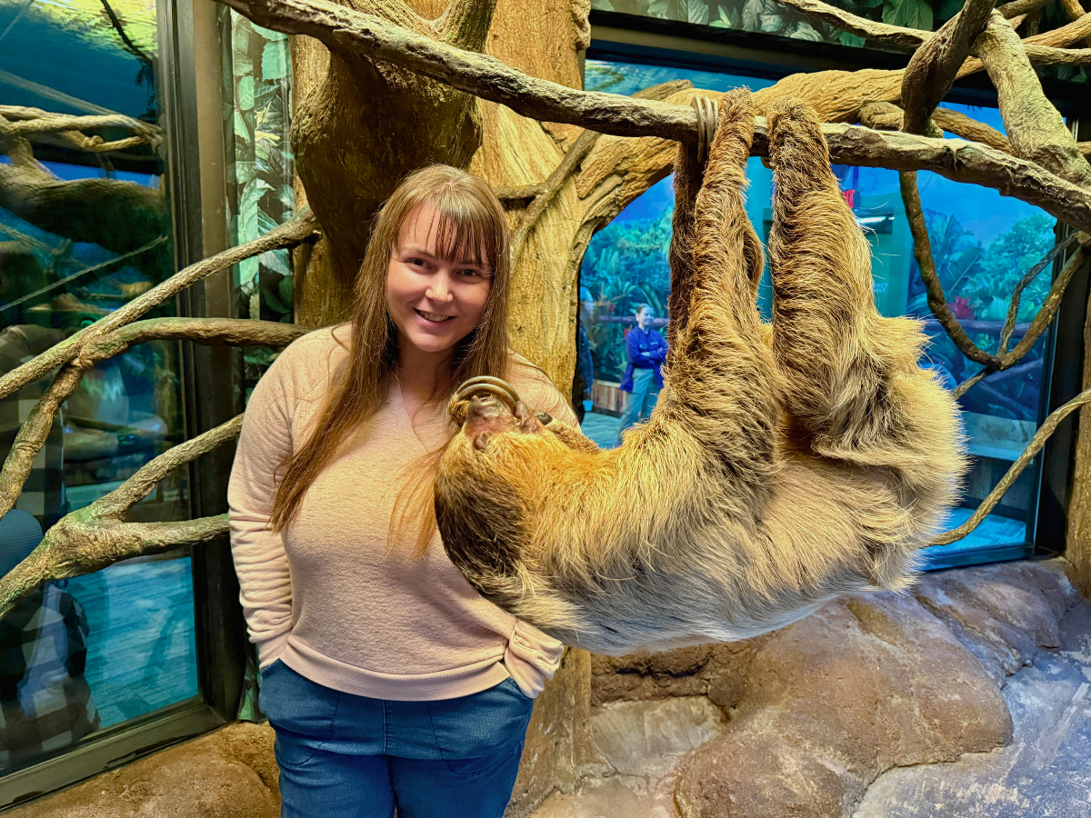 Woman posing beside a sloth hanging upside down from a tree branch inside a zoo enclosure beside a glass wall.