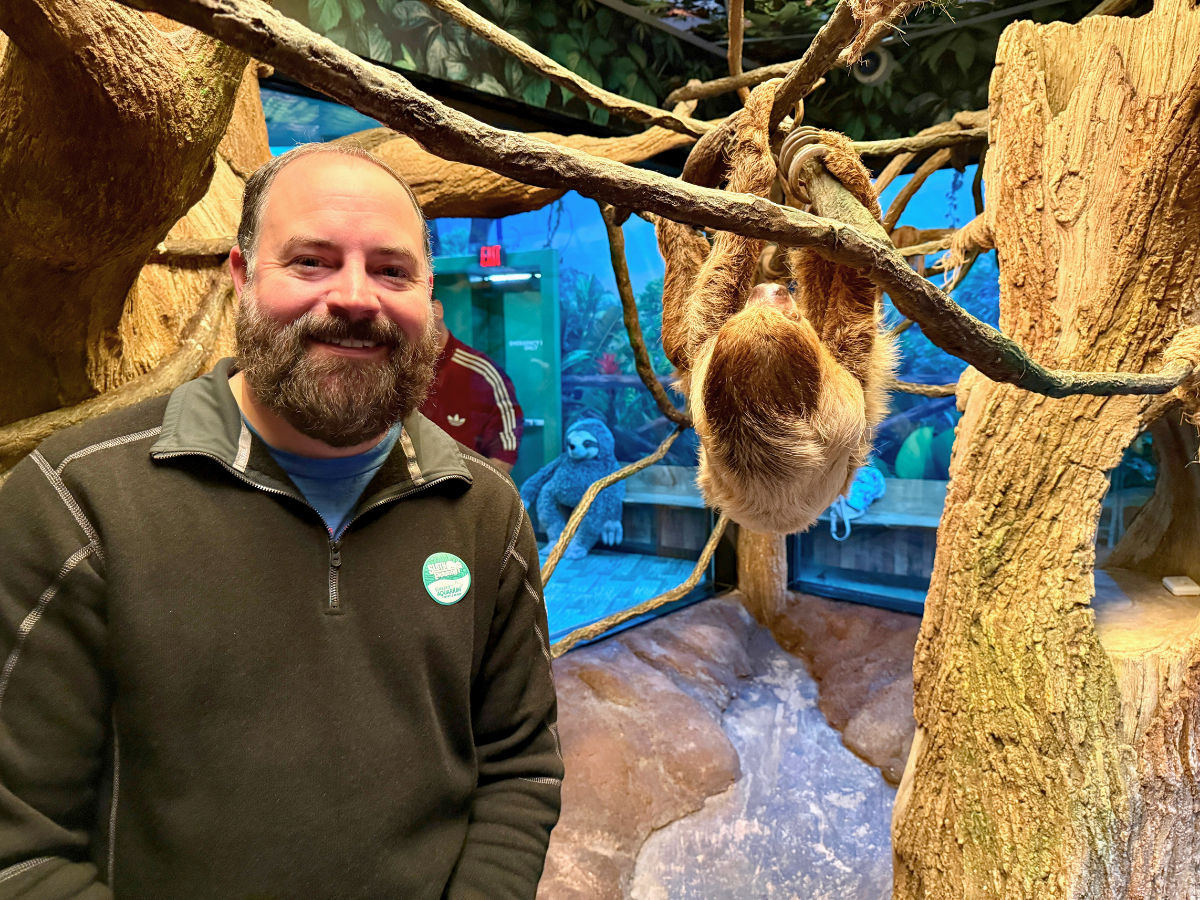 Man with a beard smiling at the camera in a zoo exhibit, with a sloth hanging from a tree branch behind him.