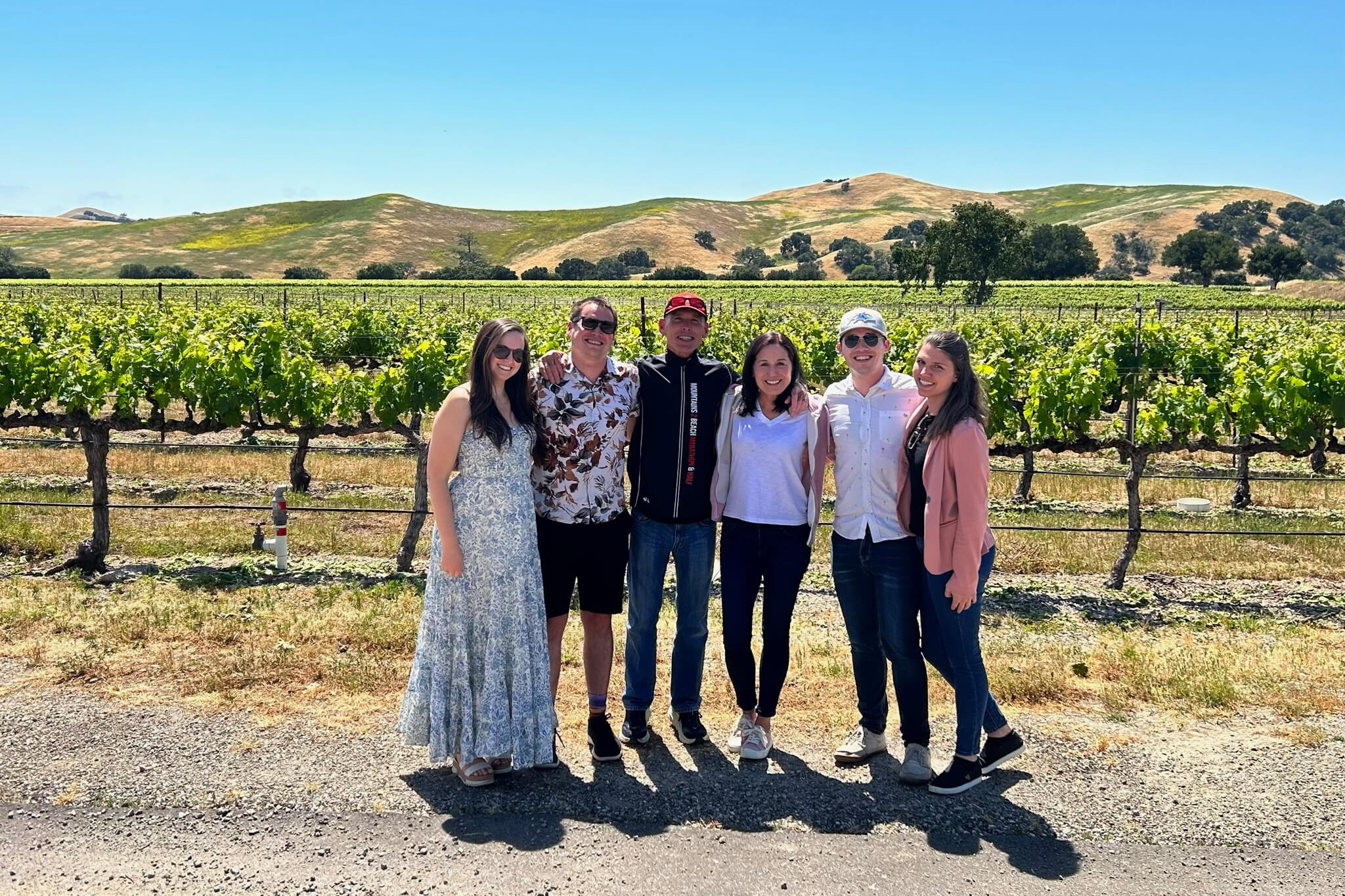 Six people stand together in a vineyard under a clear blue sky, rows of grapevines stretching behind them.