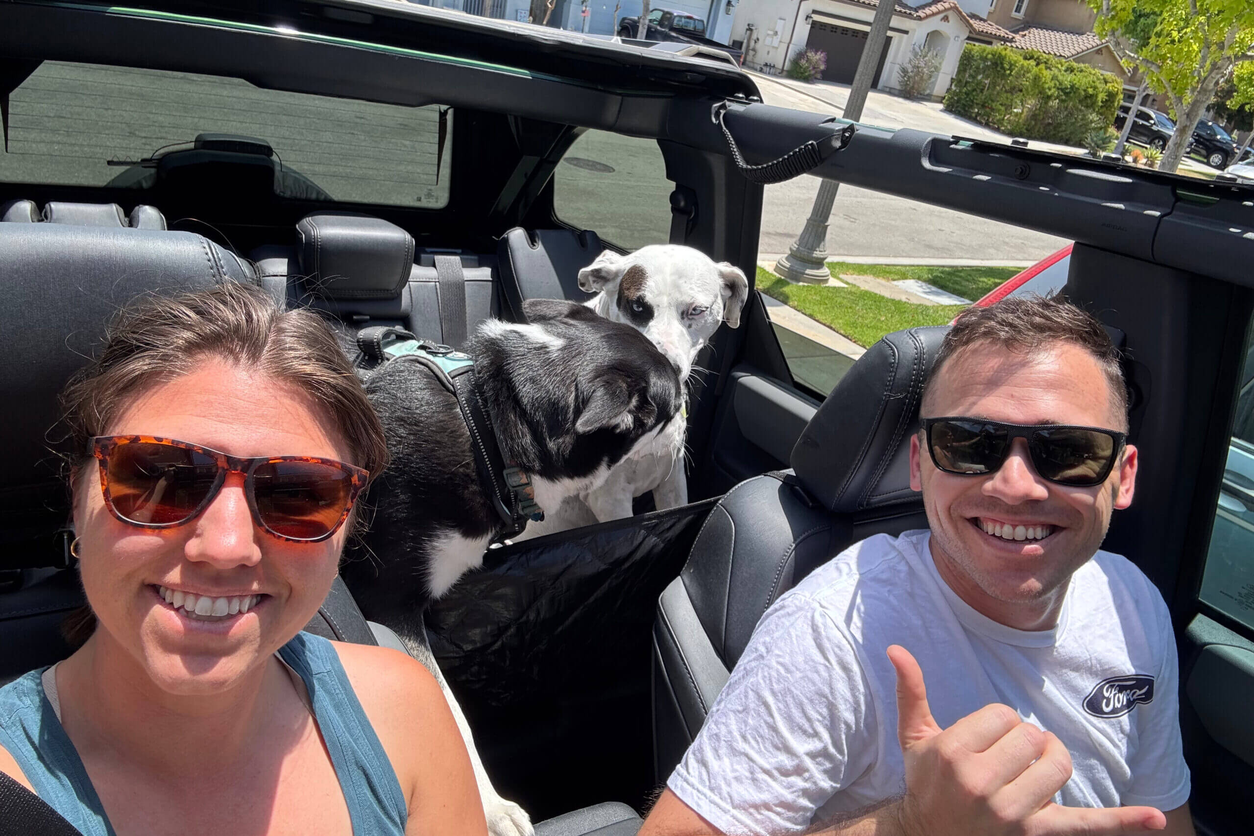 Two people in a convertible smiling at the camera, with two dogs in the back seat on a sunny residential street.