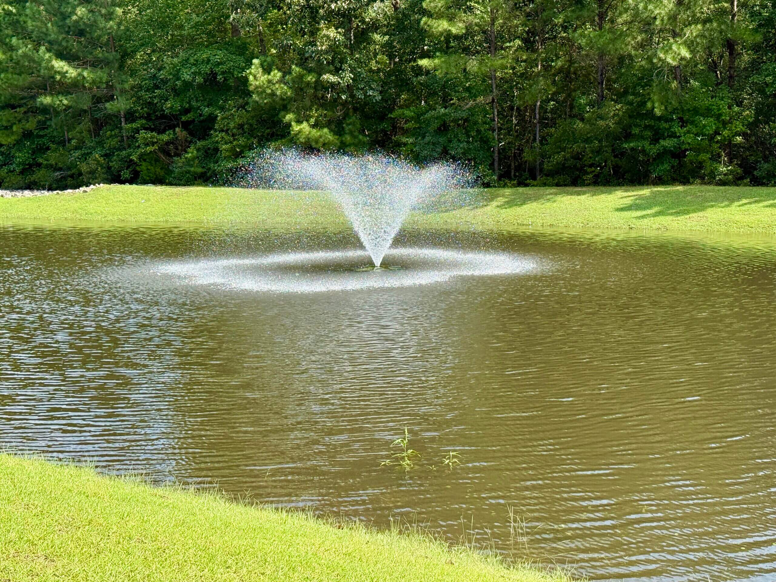 Pond with a central fountain spraying water, bordered by a grassy bank and dense green trees in the background.