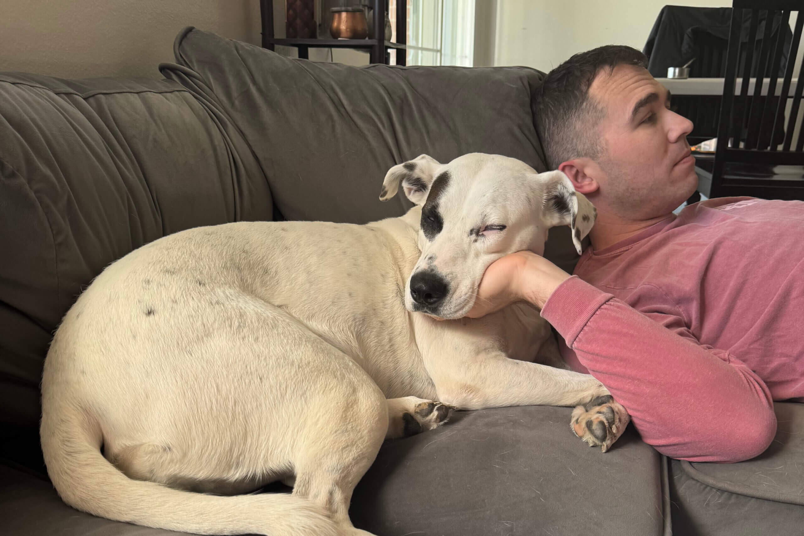 Man in a pink hoodie resting on a brown sofa while a white dog cuddles up beside him, its head on his shoulder.