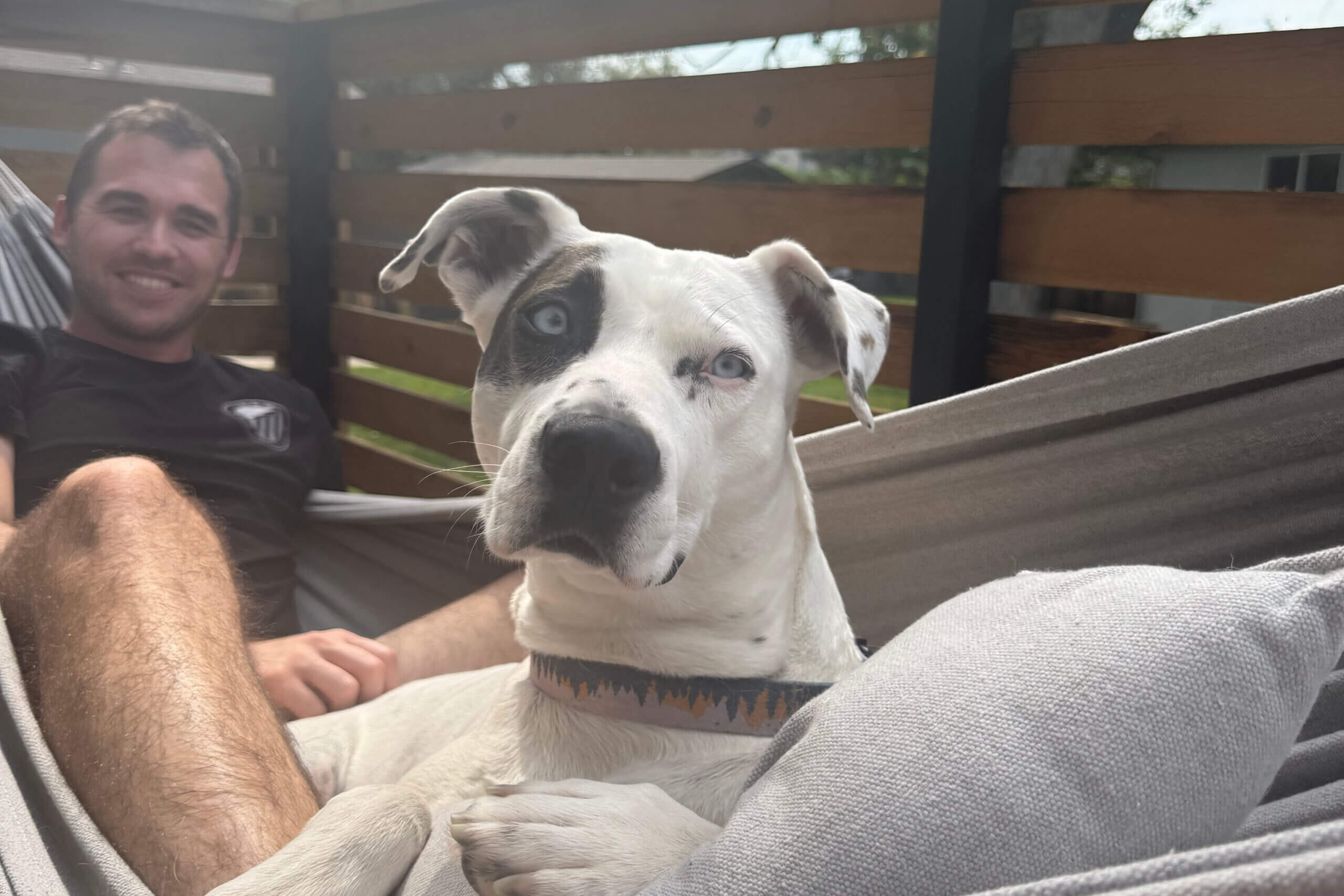 Smiling man in a black shirt relaxing in a hammock with a white dog that has blue eyes and a black patch on its face lying beside him on a wooden deck.