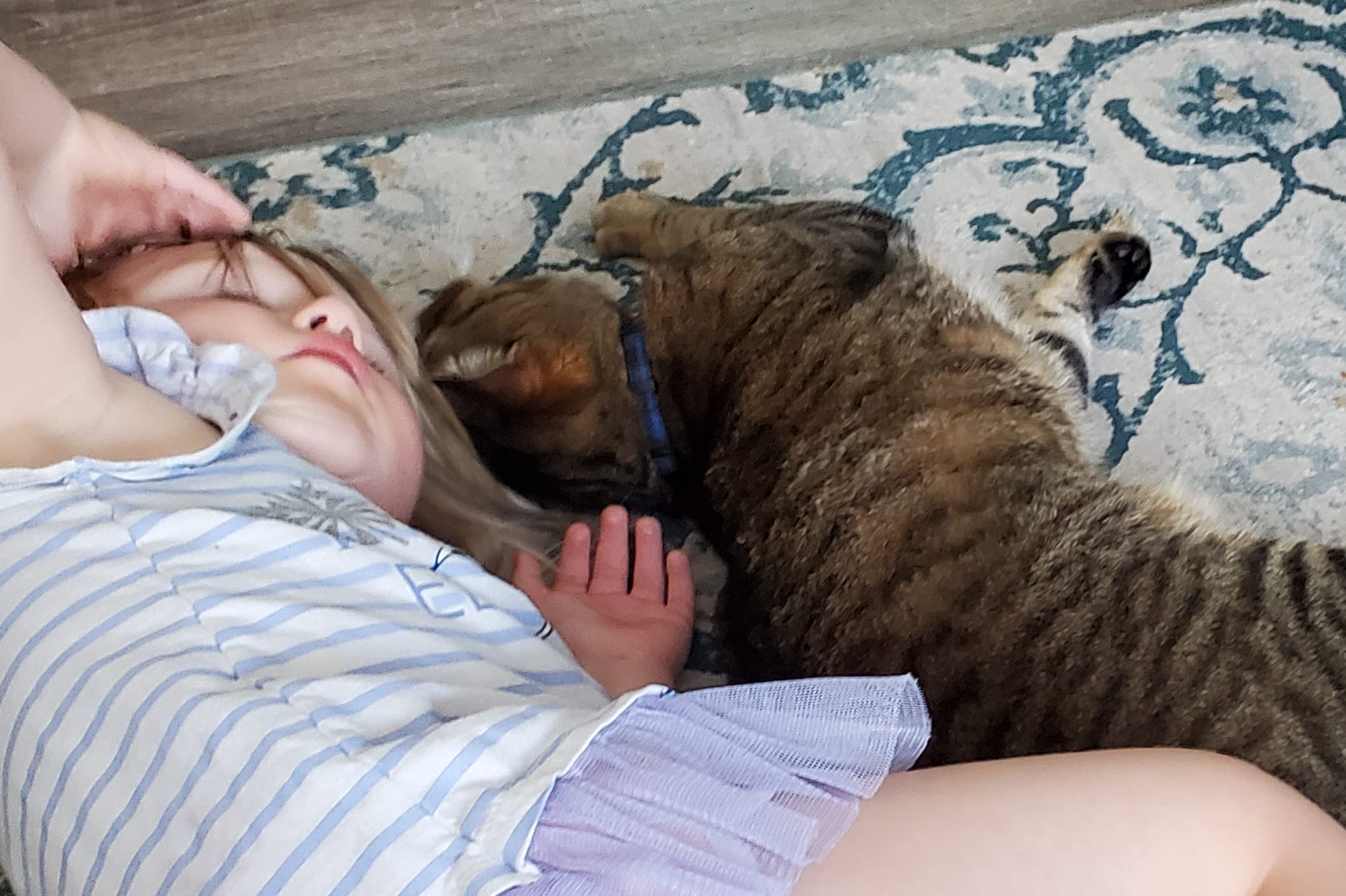 Person lying on their side on a patterned rug, wearing a light blue striped shirt, as a brown dog nuzzles and licks near their face.