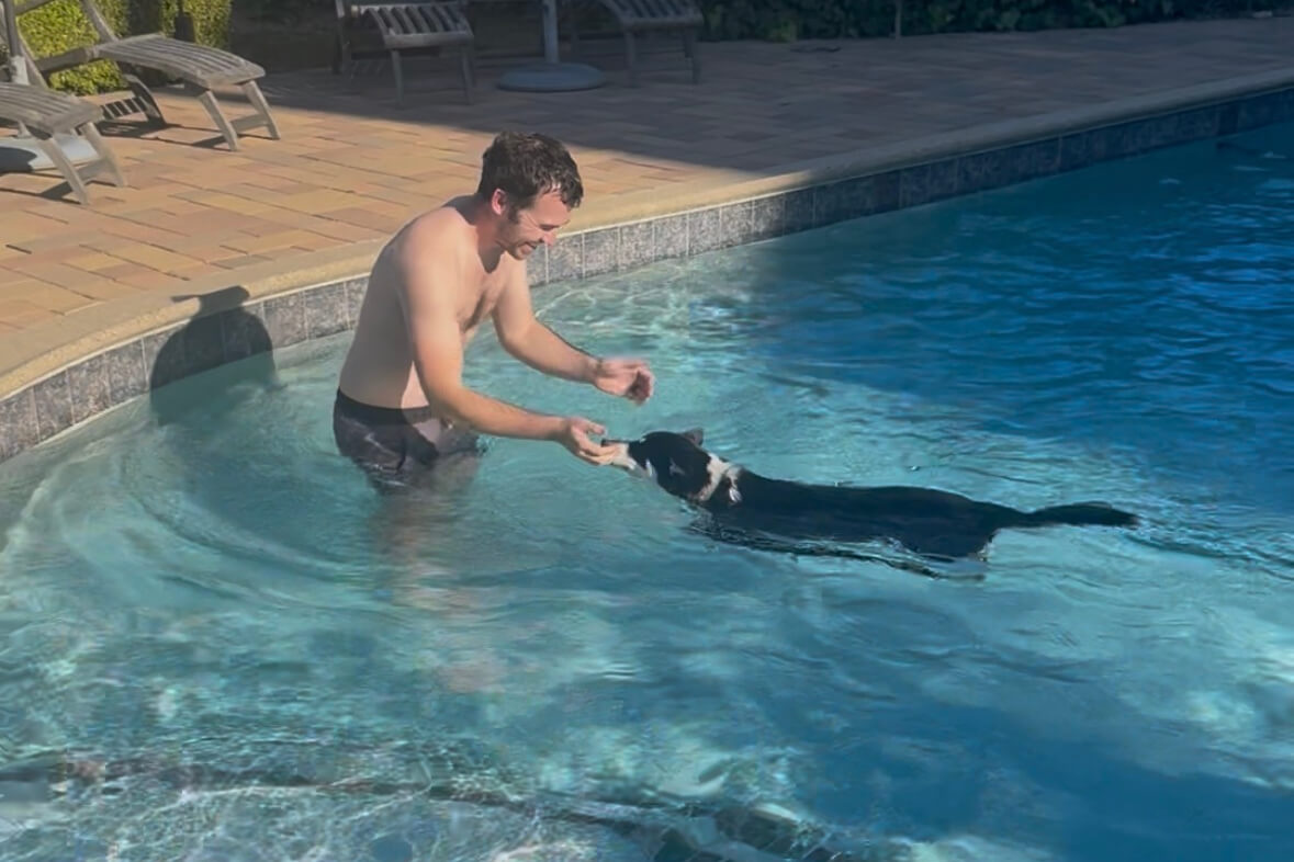Man in a pool hand-feeds a toy to a black dog swimming toward him at the pool’s edge