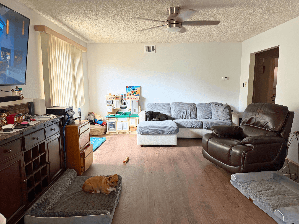 Cozy living room with a gray sectional sofa, a brown leather recliner, a wall-mounted TV, and a small dog resting on a cushion.