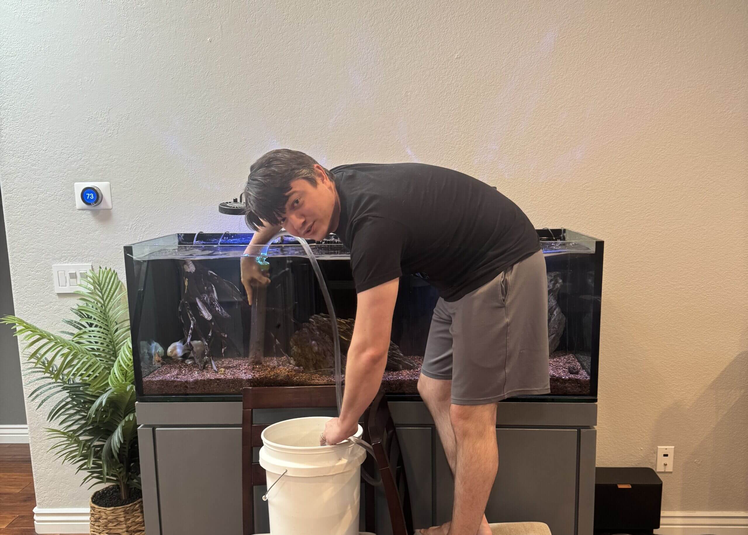 Man bending over a large home aquarium, draining water into a white bucket with a hose beside the tank.