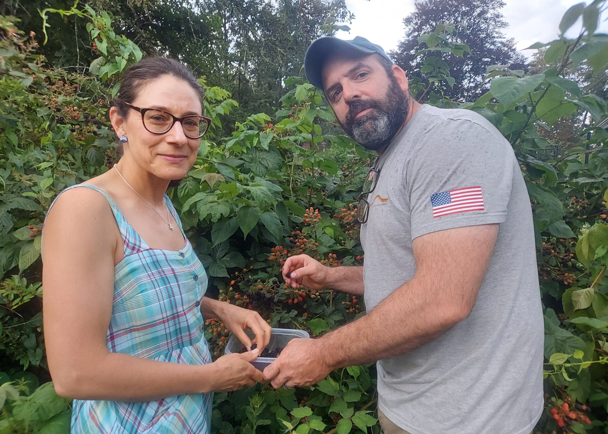 Two people stand in a lush berry garden, transferring a container of red berries between them.