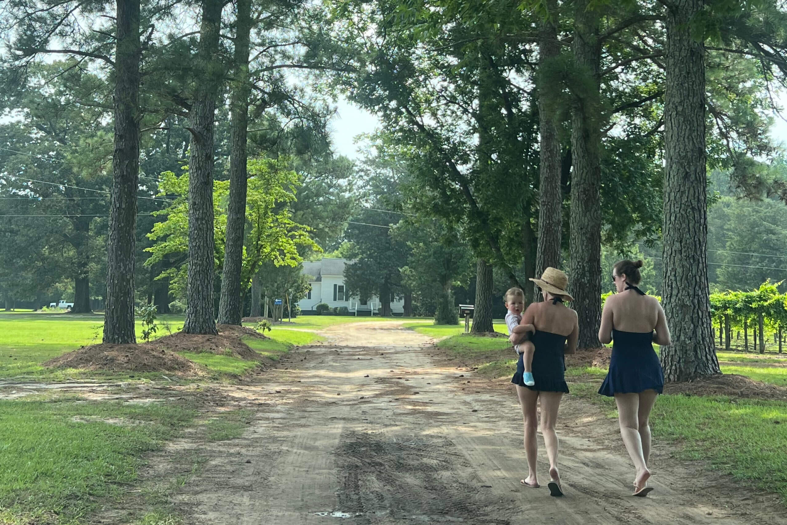 Two women in swimsuits walk along a dirt path with a child in a park lined by tall pine trees on a sunny day.