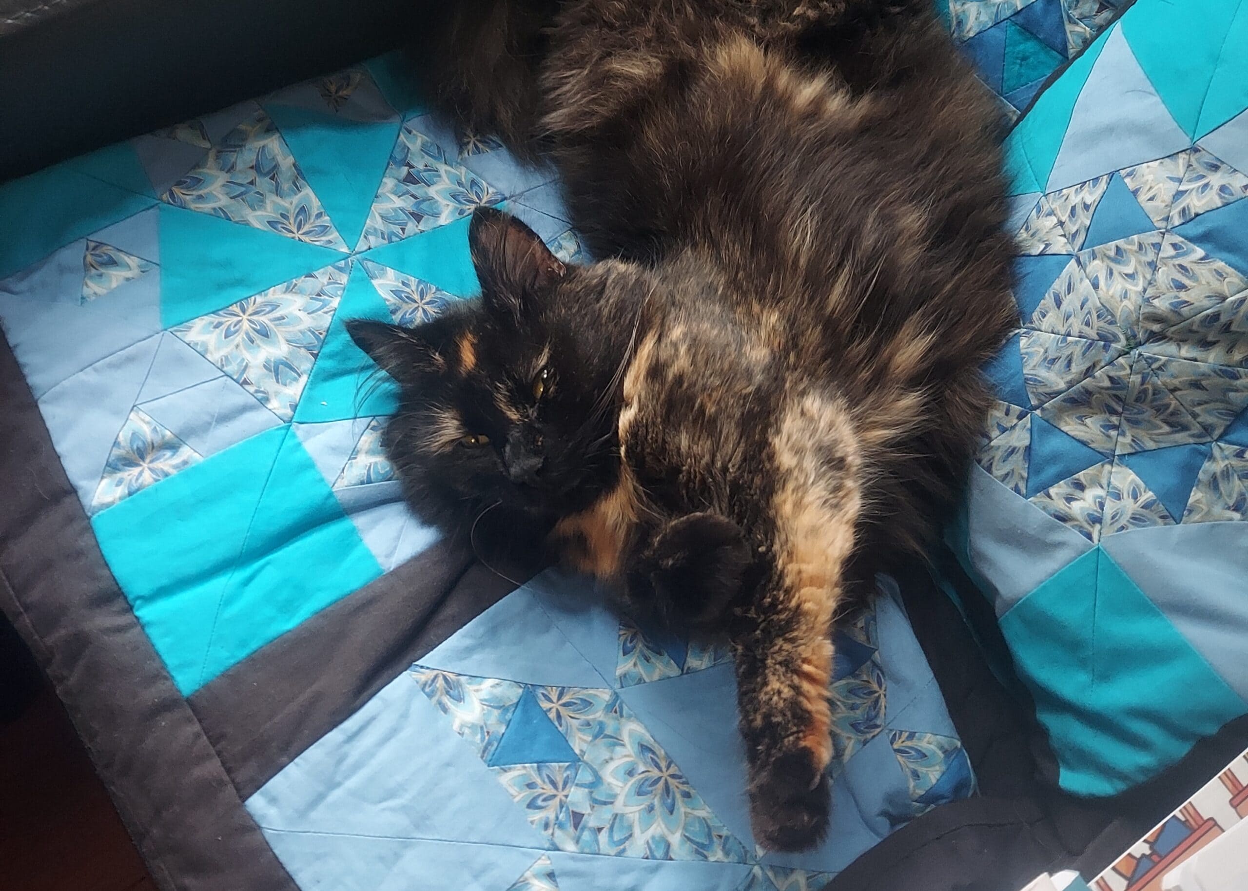 Tortoiseshell cat lying on a blue geometric quilt, eyes partly open.