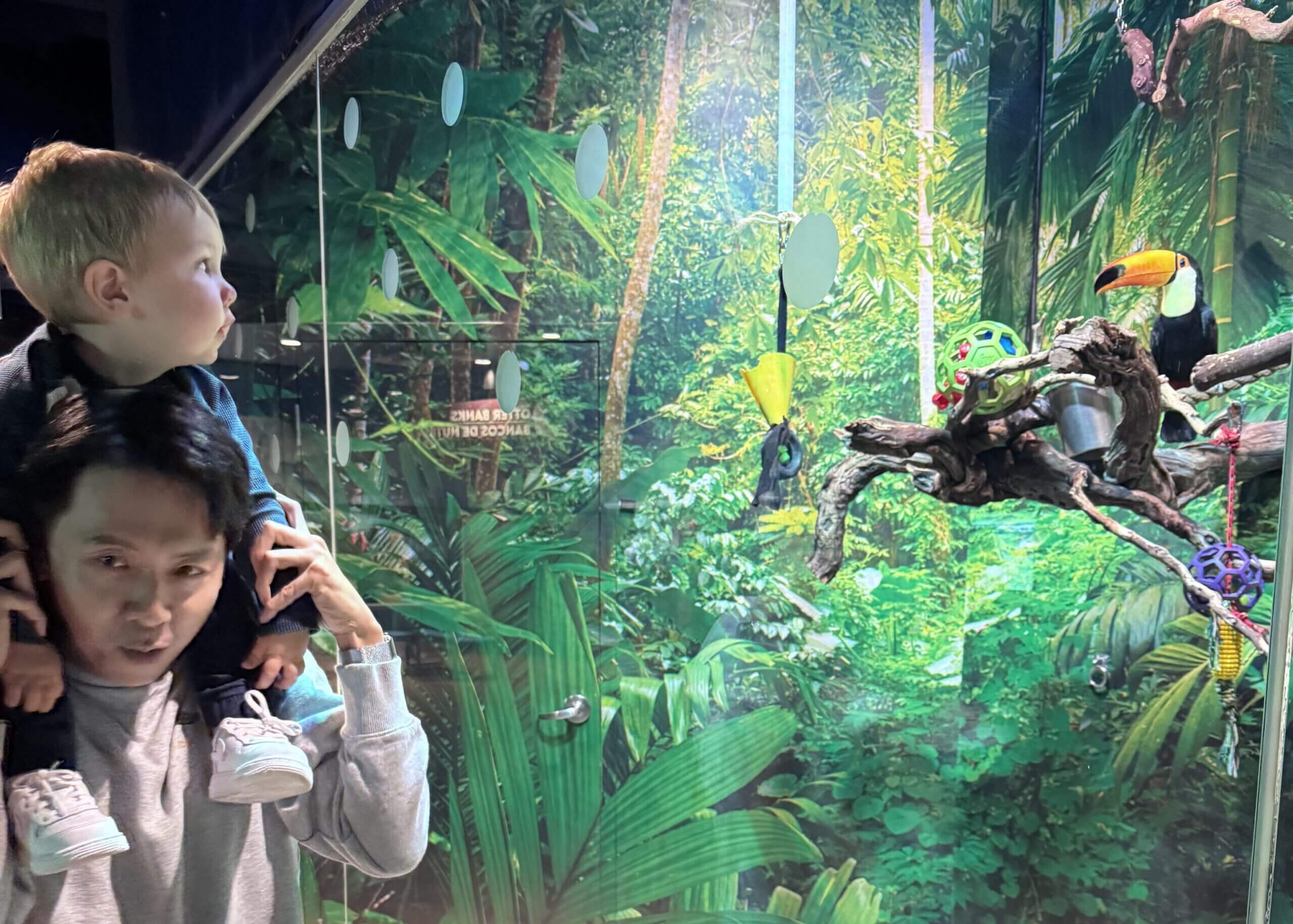 Two young children stand at a glass barrier, looking toward a jungle diorama with a toucan perched on a branch in the background.