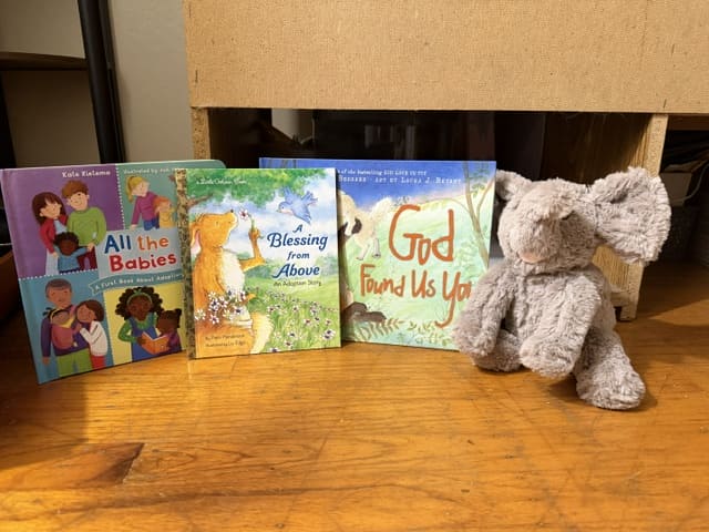 Row of colorful children's books standing upright on a wooden floor next to a gray plush elephant; a cardboard box is in the background. The book titles visible include All the Babies, A Blessing from Above, and God Found Us You.